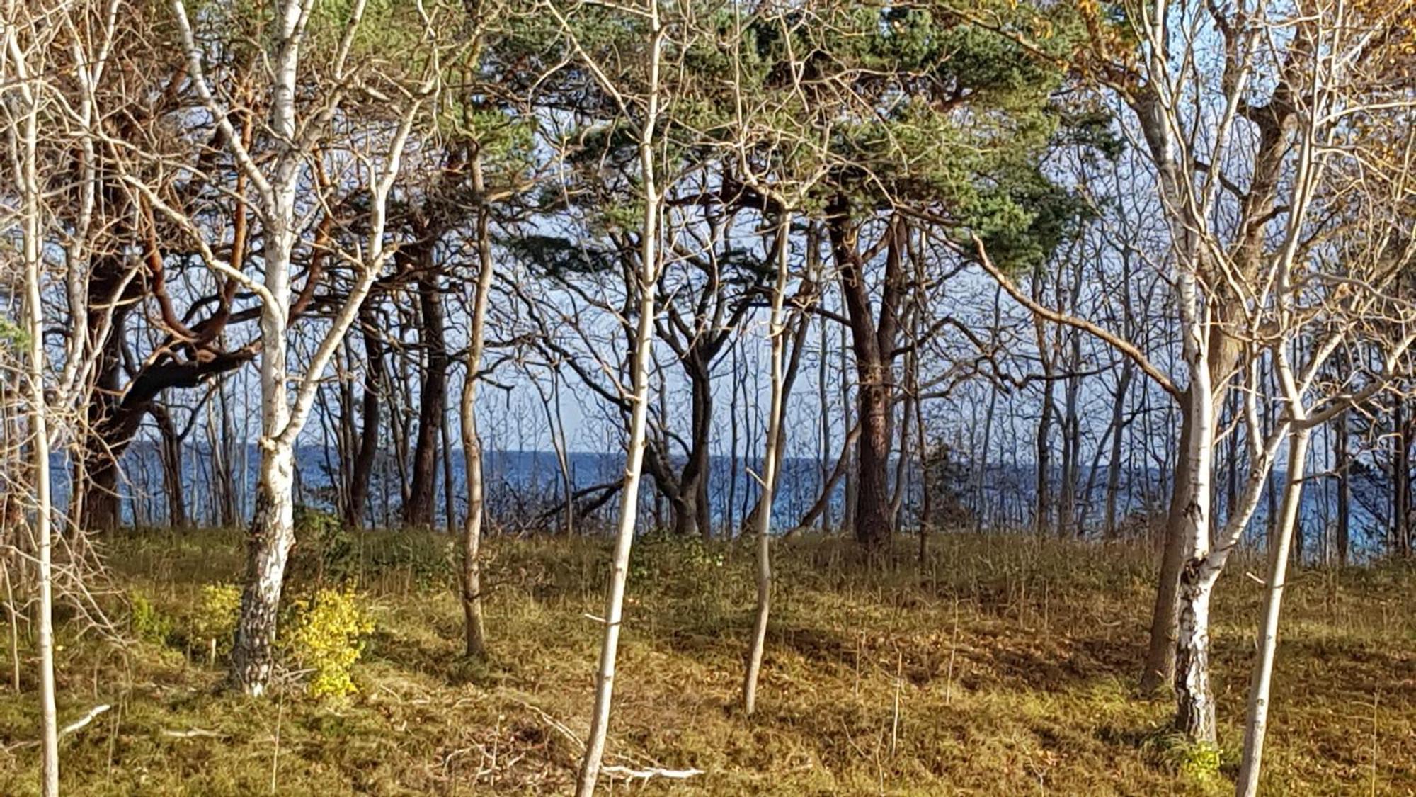 Traum Fewo Strandliebe Mit Meerblick, 3 Schlafzimmer, 2 Baeder Binz Exterior foto